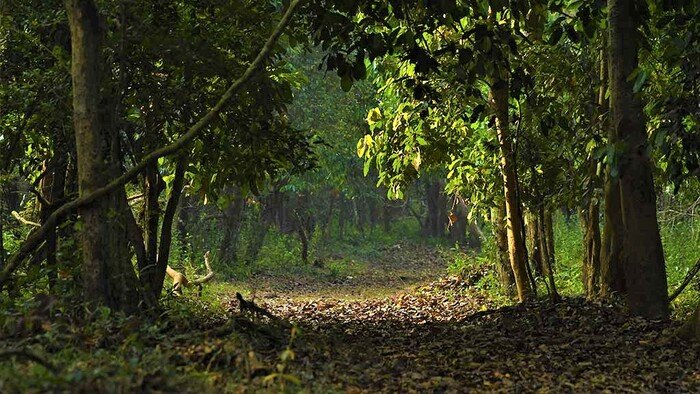 tourist places in kannur, places to visit in kerala, aaralam wildlife sanctuary