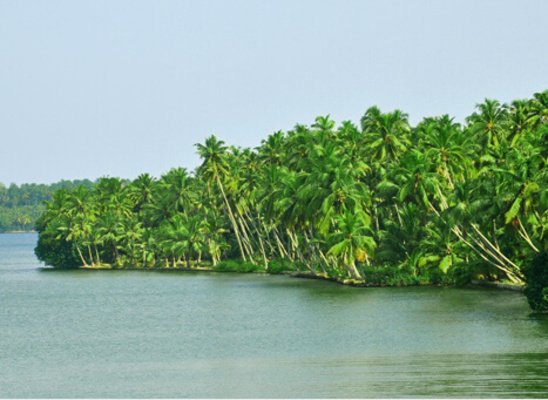 backwaters in kollam, places to visit in kerala, ashtamudi lake, places to visit in kerala