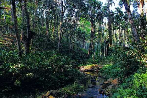 Nature Viewpoint in Palakkad