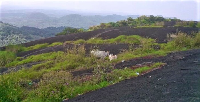 hill station in kottayam, ayyampara, places to visit in kerala