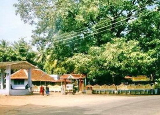 temples in palakkad, places to visit in kerala, chittur kavu temple