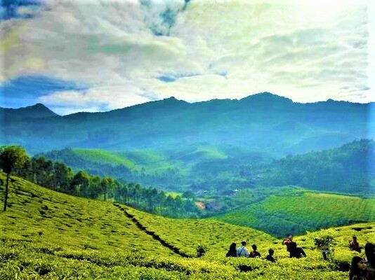 idukki hill station, devikulam, places to visit in kerala