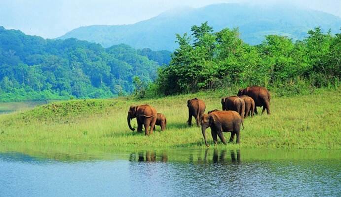 Idukki wildlife sanctuary, places to visit in kerala