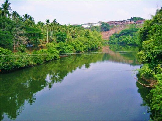 backwaters in malappuram, places to visit in kerala, kadalundi river
