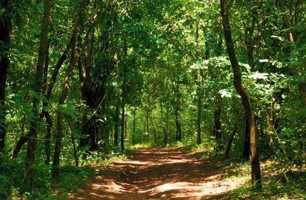 wildlife sanctuary in kasaragod, places to visit in kerala, kareem's forest park
