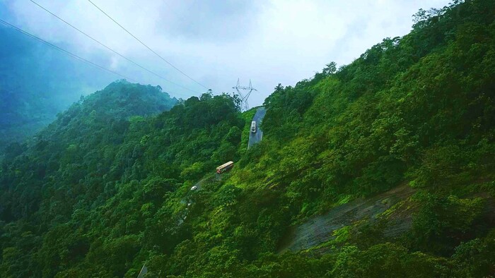 Wayanad hill station, lakkidi view point, places to visit in kerala