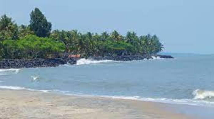 beaches in ernakulam, places to visit in kerala, munambam beach