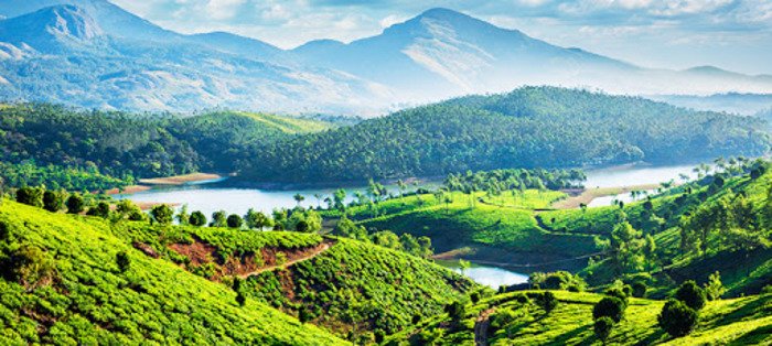 idukki hill station, munnar hill station, places to visit in kerala, best honeymoon places in kerala