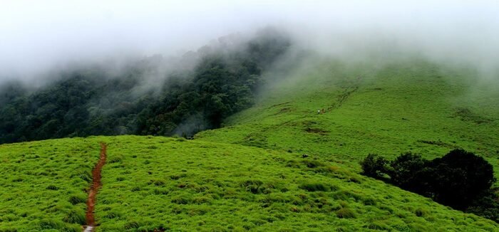 Hills and Valleys at Kannur