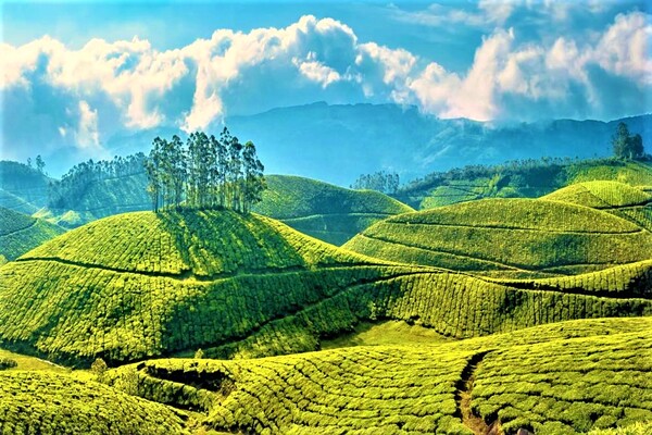 idukki hill station, pothamedu viewpoint