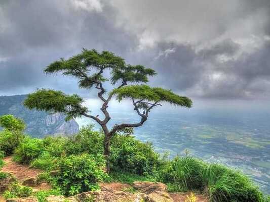 hill stations in palakkad, places to visit in kerala, seethargundu viewpoint