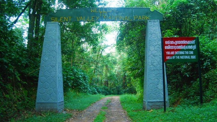 places to visit in palakkad, places to visit in kerala, silent valley national park