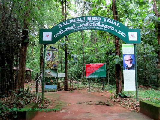 places to visit in ernakulam, places to visit in kerala, thattekad bird santuary kochi