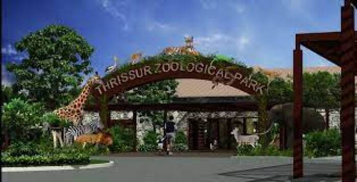 tourist places in thrissur, thrissur zoo, places to visit in kerala