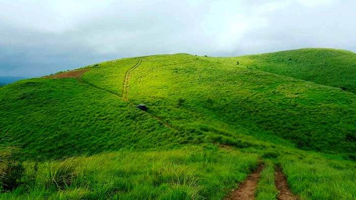 hill station in kottayam, vagamon, tourist places in kottayam