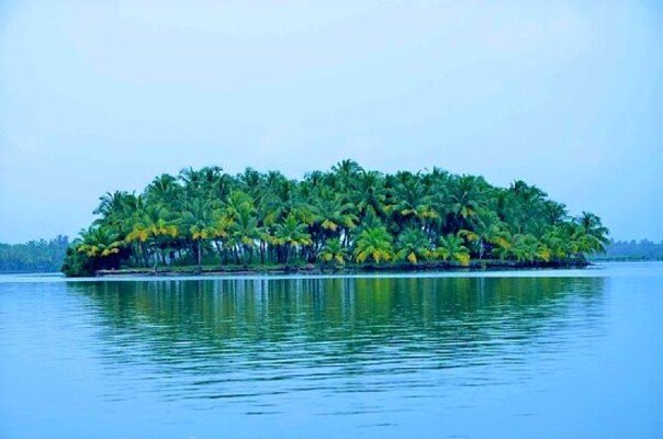 Backwaters in Kannur