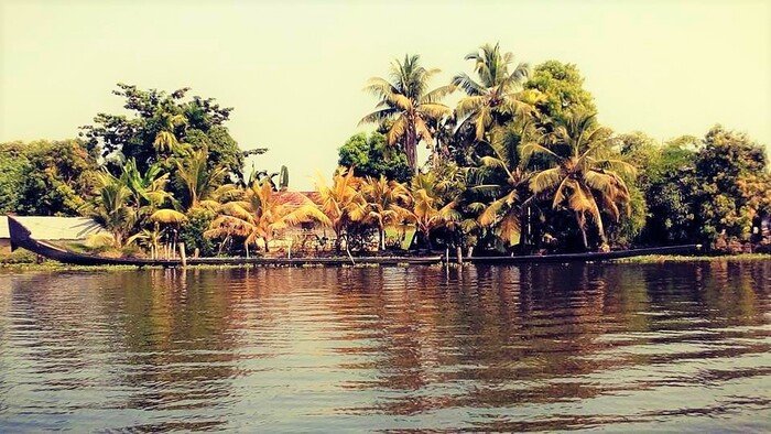 backwaters in alleppey, places to visit in kerala, punnamada lake
